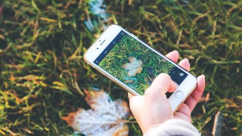 手机看片福利盒子永久国产免费,永久免费国产片库等你探索